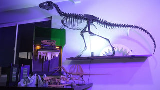 From Layoff to Lifesize: Ethan’s 3D-Printed Dinosaur Dream